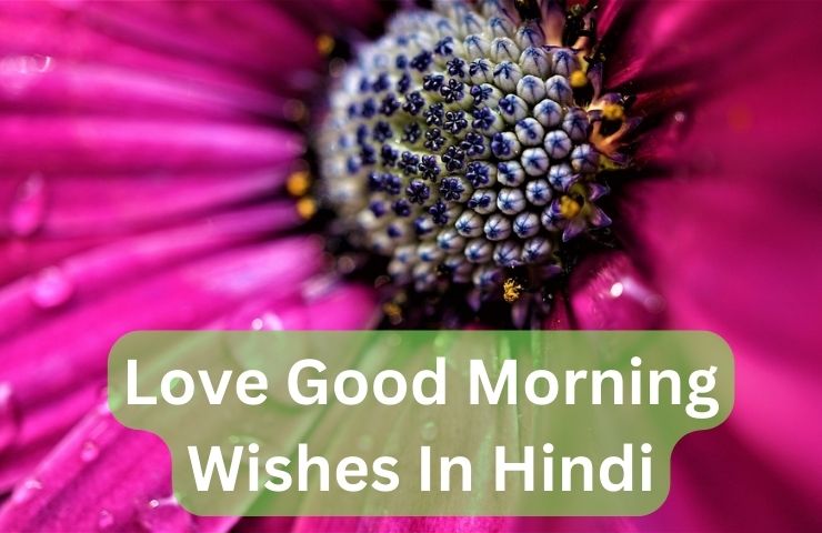 Love Good Morning Wishes In Hindi