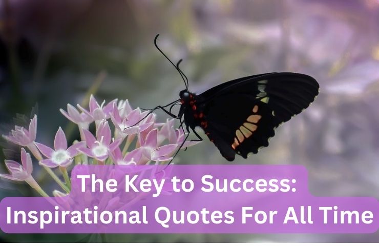 The Key to Success: Inspirational Quotes For All Time