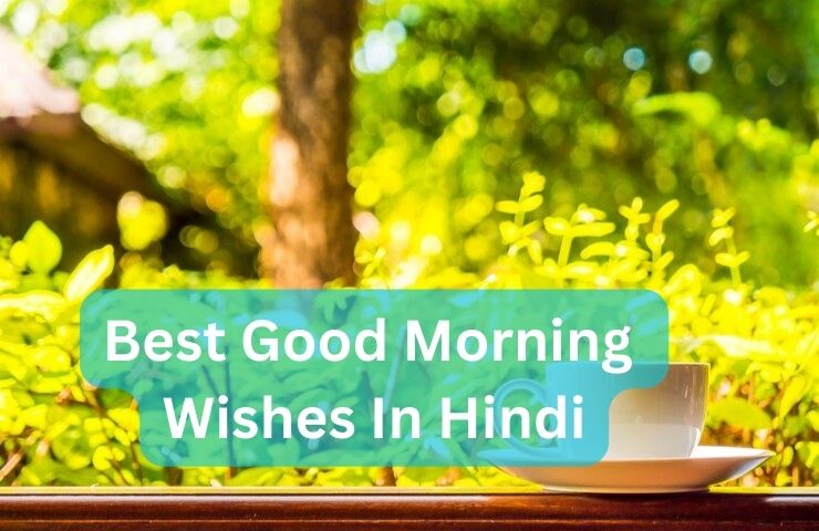 Best Good Morning Wishes In Hindi