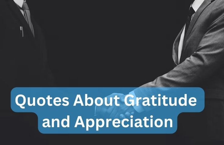 Quotes About Gratitude and Appreciation