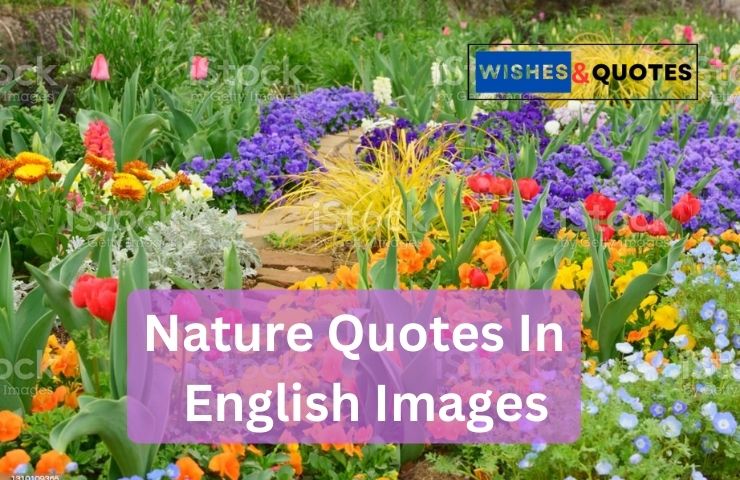 Nature Quotes In English Images
