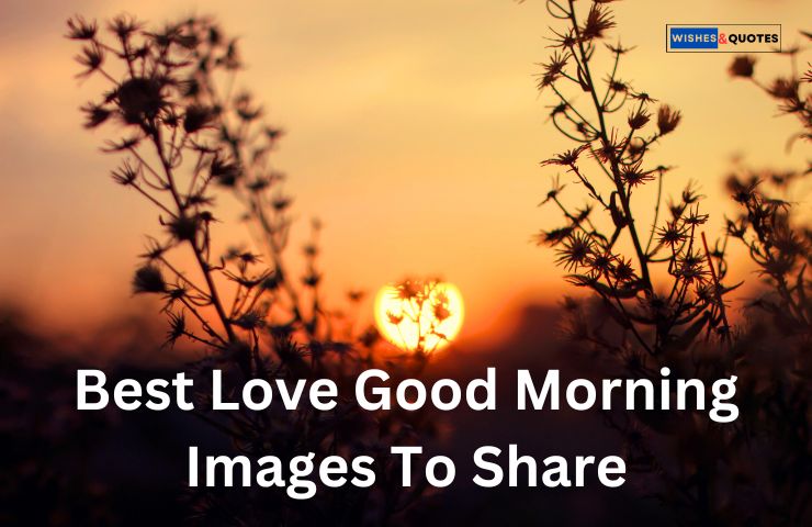 Best Love Good Morning Images To Share