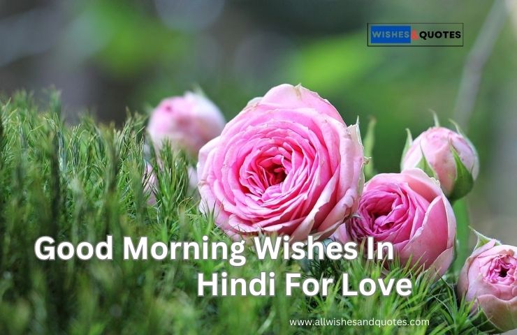 Good Morning Wishes In Hindi For Love