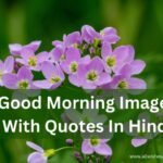 Good Morning Images With Quotes In Hindi