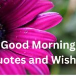 Good Morning Quotes and Wishes