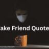 Fake Friend Quotes